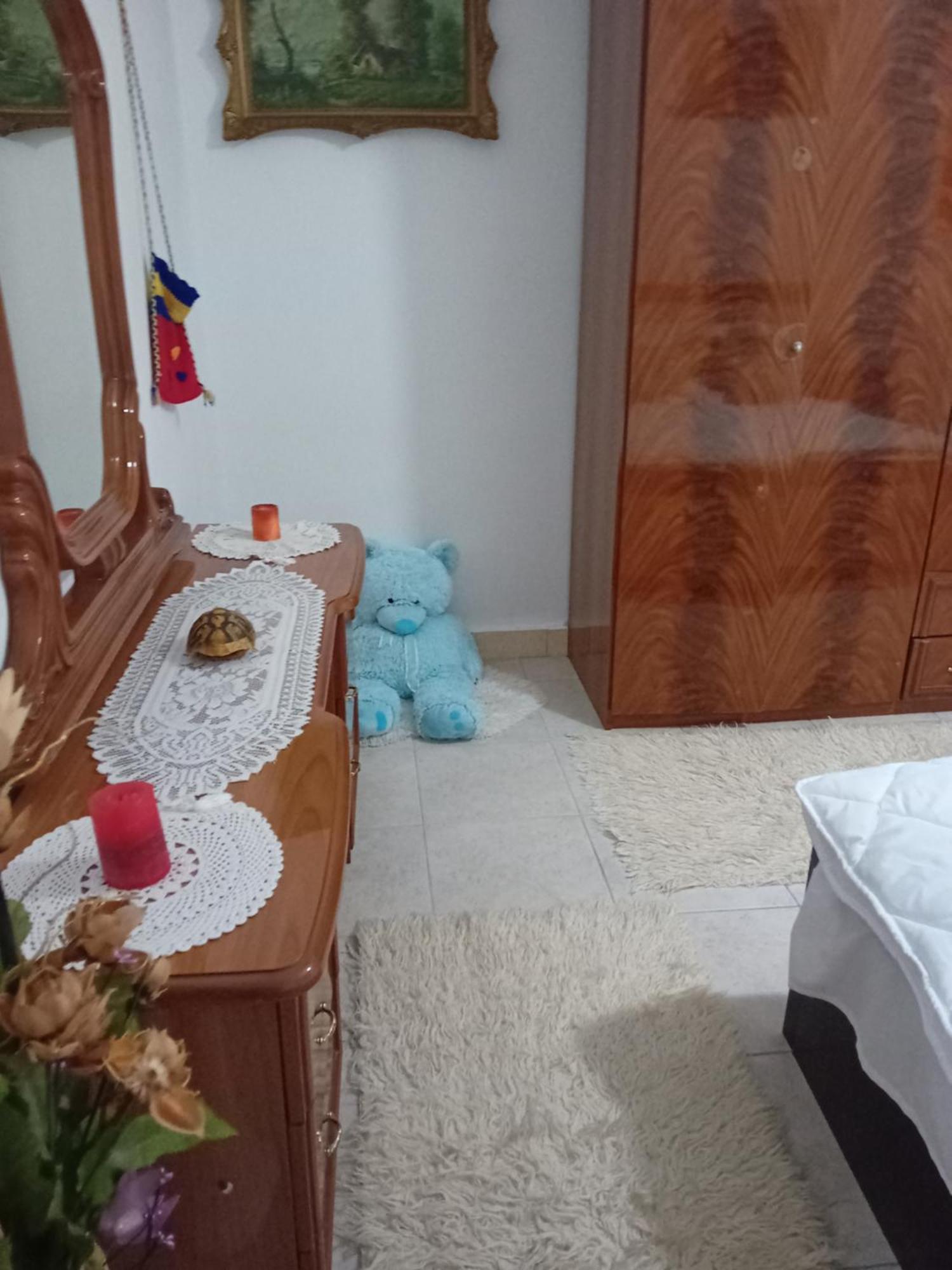 Olivia Guesthouse Gjirokastër 외부 사진
